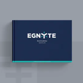 Egnyte